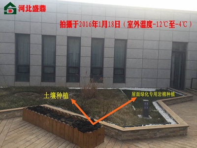 ����G���r��