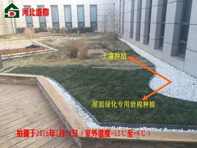 ����G���r��