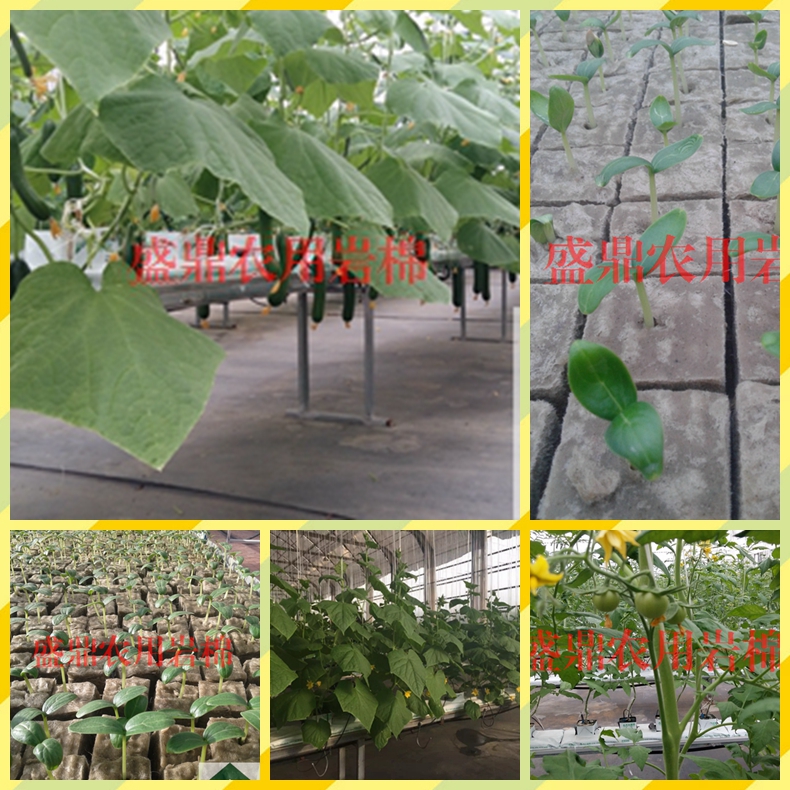 ʢ���r�Îr��