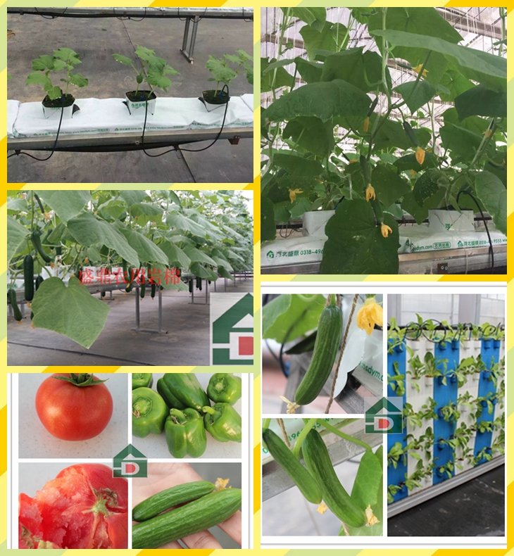 ʢ���r�Îr��