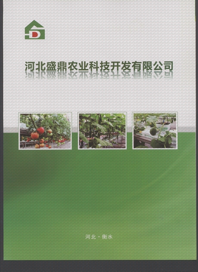 ʢ���r�Îr��