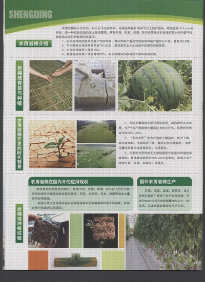 ʢ���r�Îr��