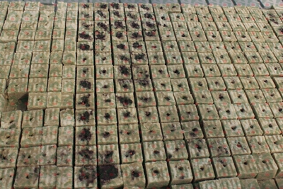 �r(n��ng)�Îr�����߷Nֲ