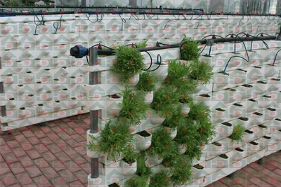 ʢ���r�Îr�ތ����،���