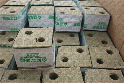 ʢ���r�Îr�ތ����،���