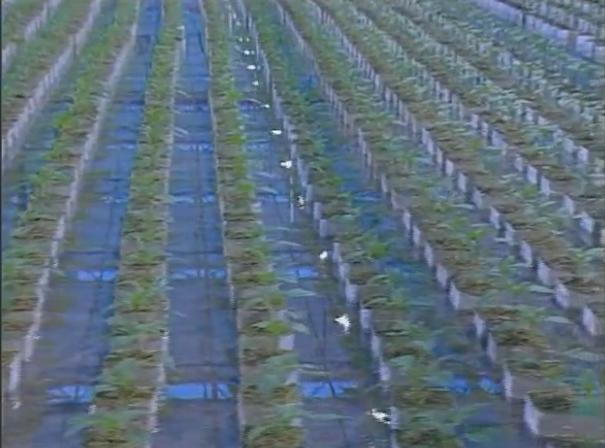 �r(n��ng)�Îr�ޑ�(y��ng)��