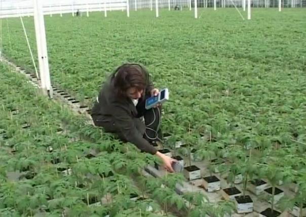 �r(n��ng)�Îr�ޑ�(y��ng)��