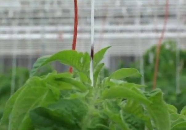 �r(n��ng)�Îr�ޑ�(y��ng)��