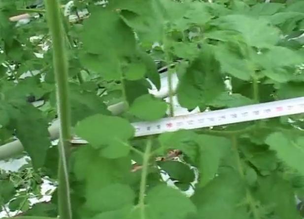 �r(n��ng)�Îr�ޑ�(y��ng)��