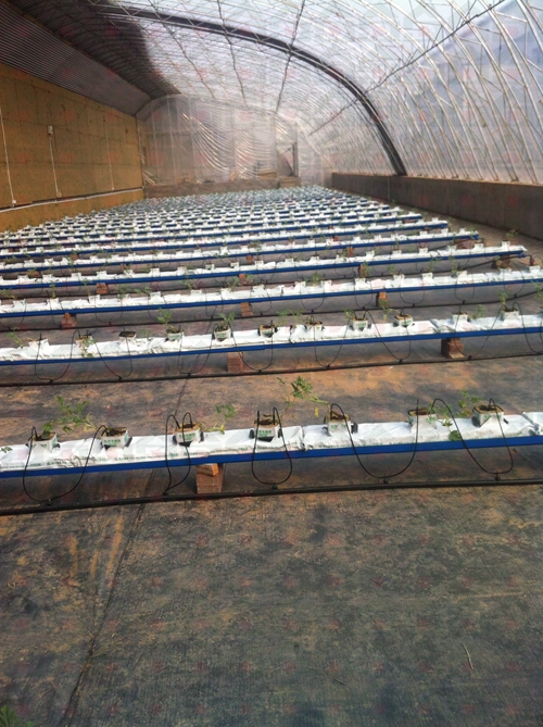 �r������N����