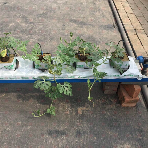 �r����������