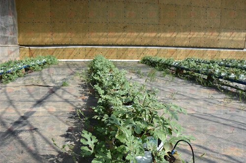 �r����������