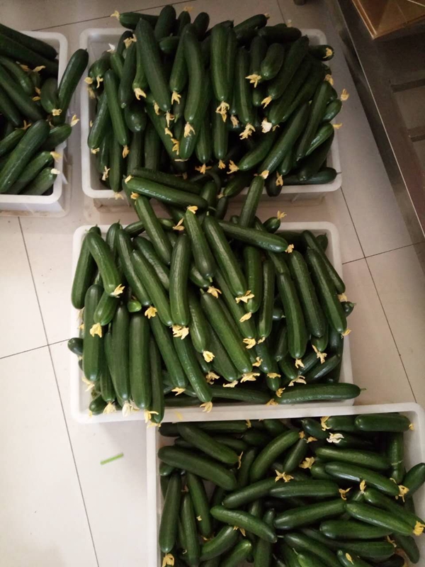 ʢ���r������