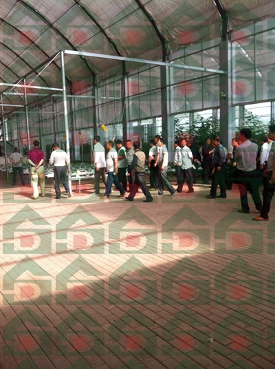 ʢ��Դ�r�Îr��